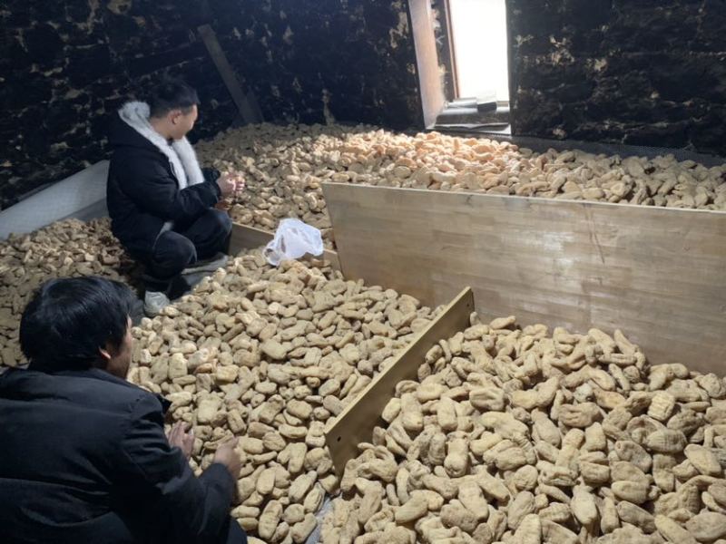 云南、天嘛、干天嘛