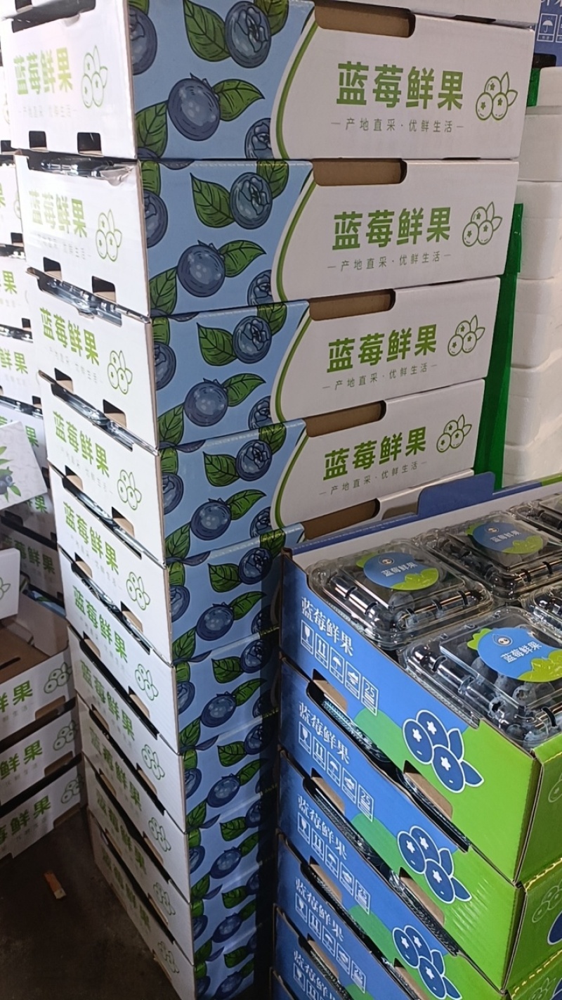 蓝莓纸箱包装+配套标签蓝莓包装·量身定制🌿📦