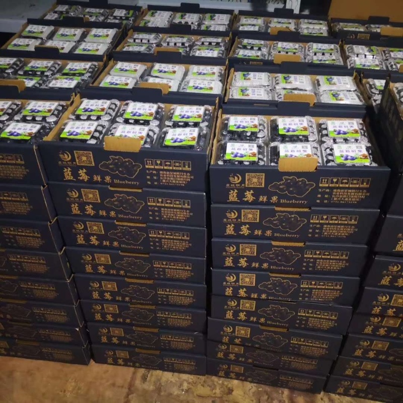 蓝莓纸箱包装+配套标签蓝莓包装·量身定制🌿📦