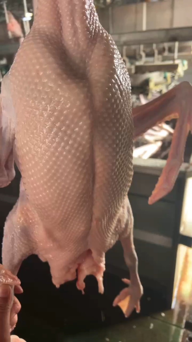 广东清远黑棕鹅鹅肉烧腊原材料批发