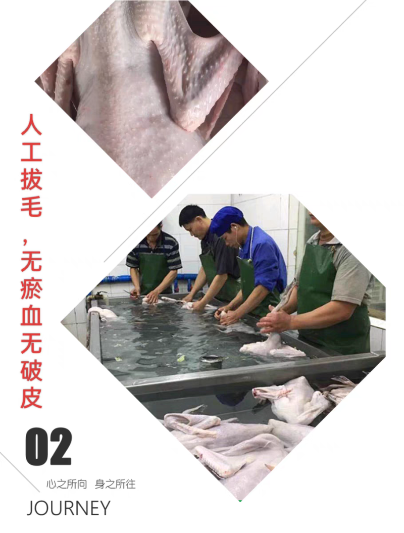 广东清远黑棕鹅鹅肉烧腊原材料批发