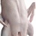 广东清远黑棕鹅鹅肉烧腊原材料批发