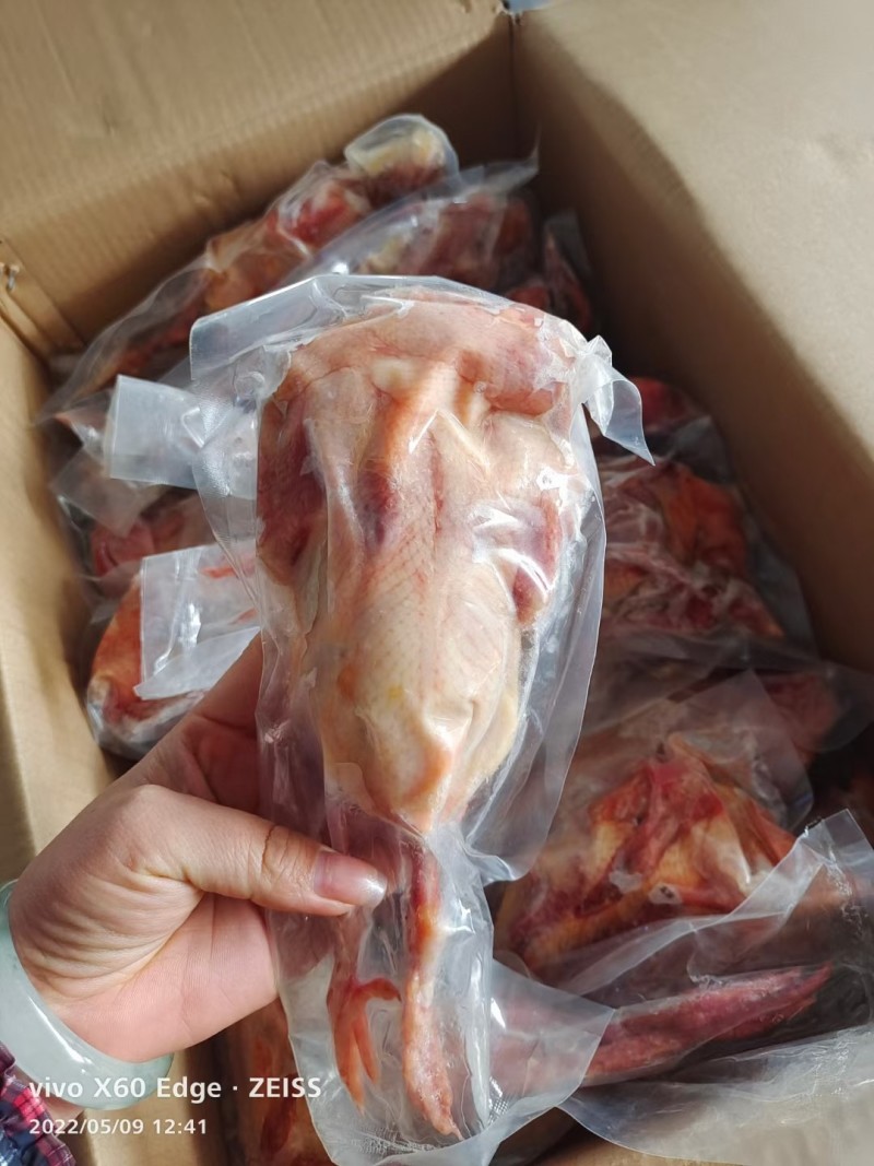 乳鸽山东腾惠更多客户的选择