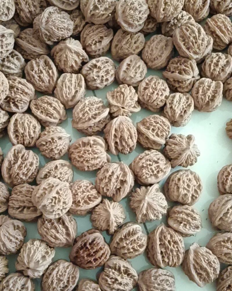 文玩核桃麦穗虎头批发，质量好骨质硬