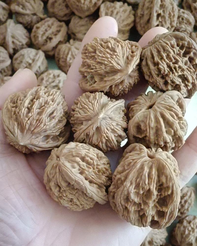文玩核桃麦穗虎头批发，质量好骨质硬