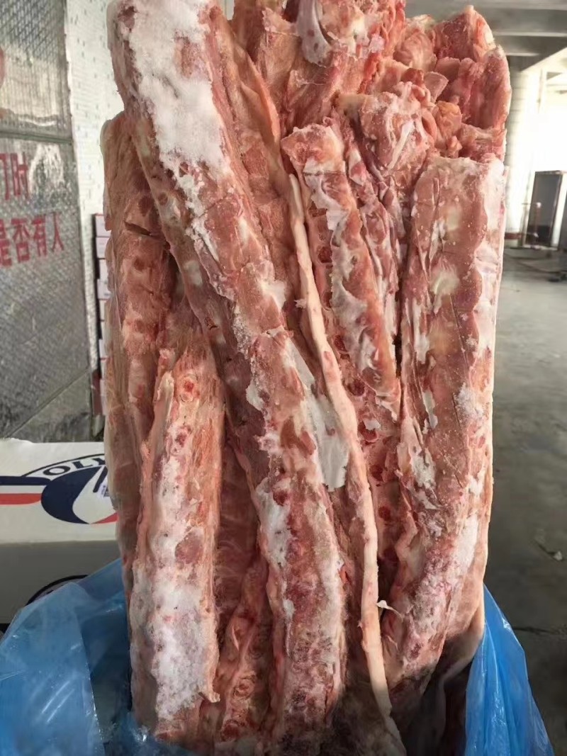 猪龙骨大量现货量大从优
