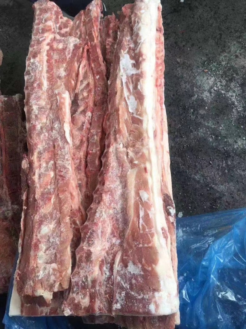 猪龙骨大量现货量大从优