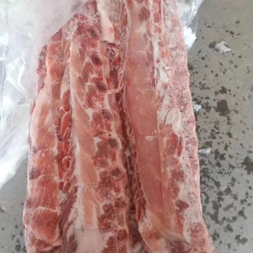 猪龙骨大量现货量大从优