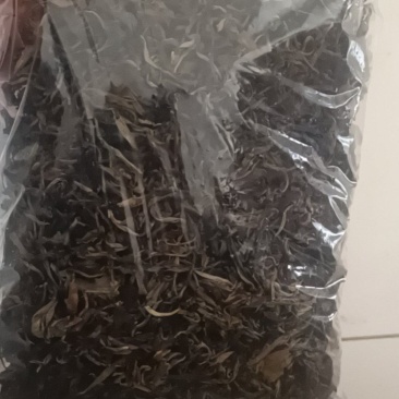 云南省玉溪市元江县茶叶