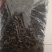 云南省玉溪市元江县茶叶