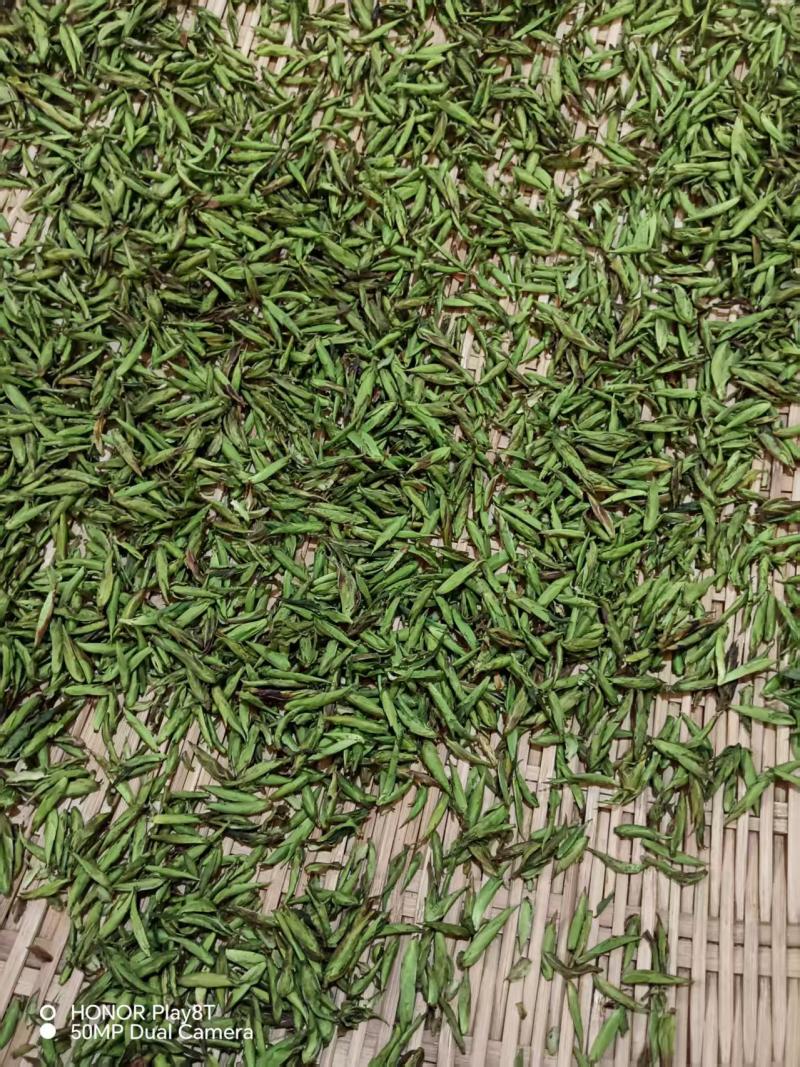 野生古树芽孢茶（白茶）