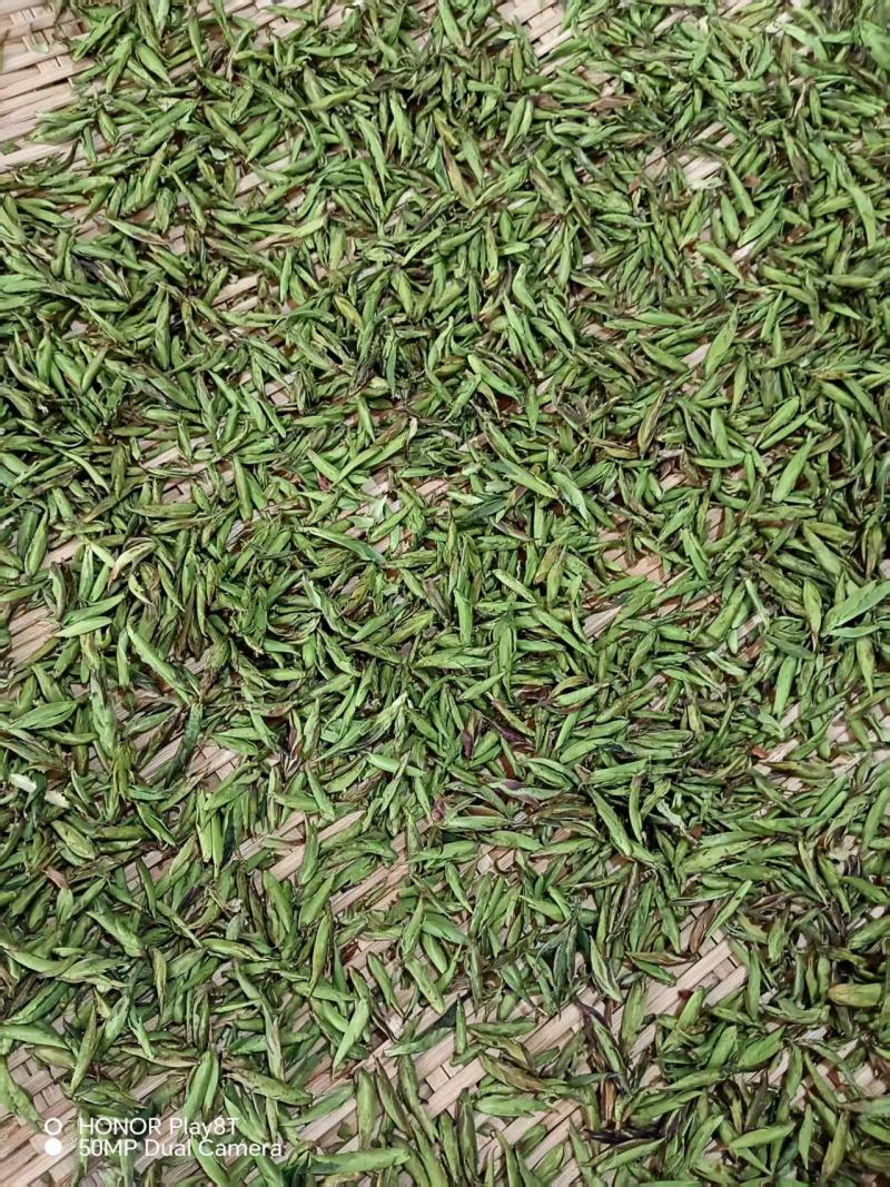 野生古树芽孢茶（白茶）