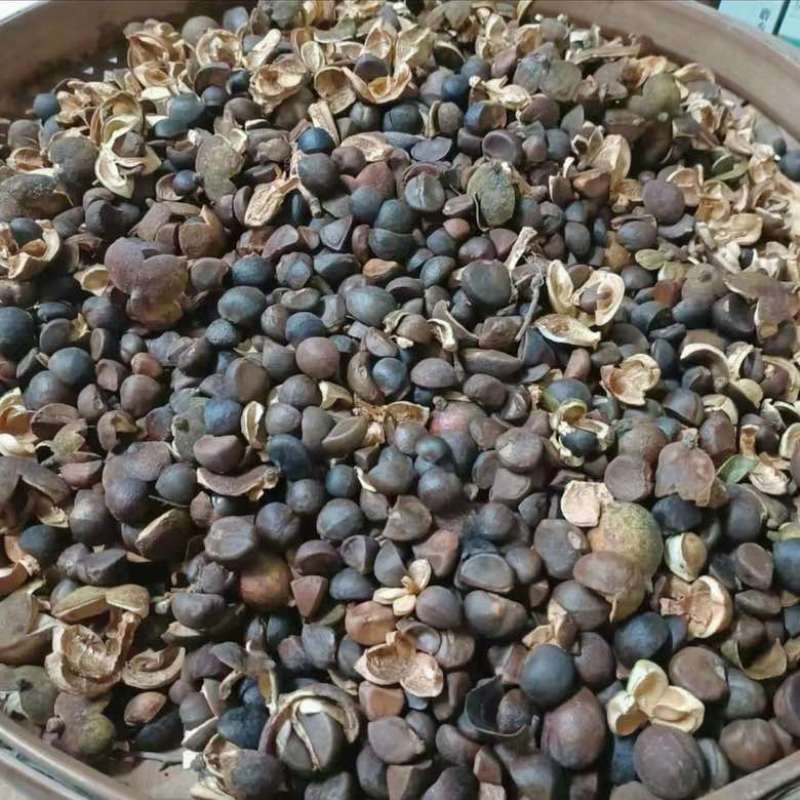 山茶油，高海拔老树山茶油