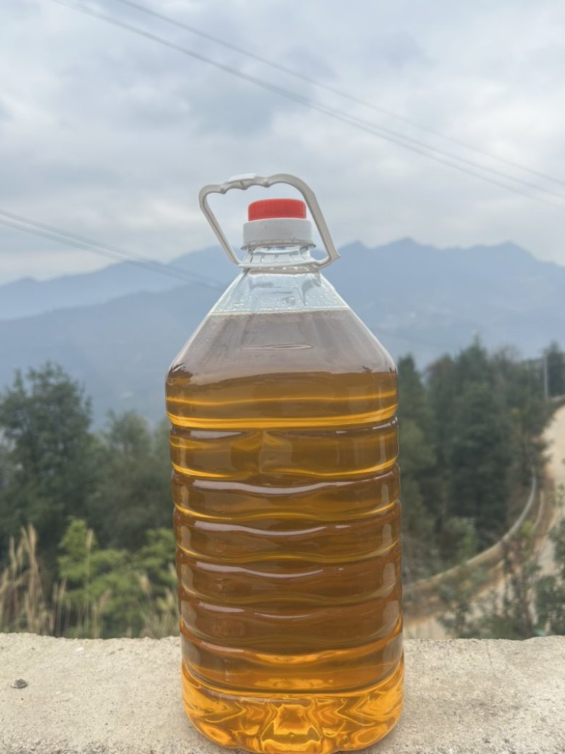 山茶油，高海拔老树山茶油