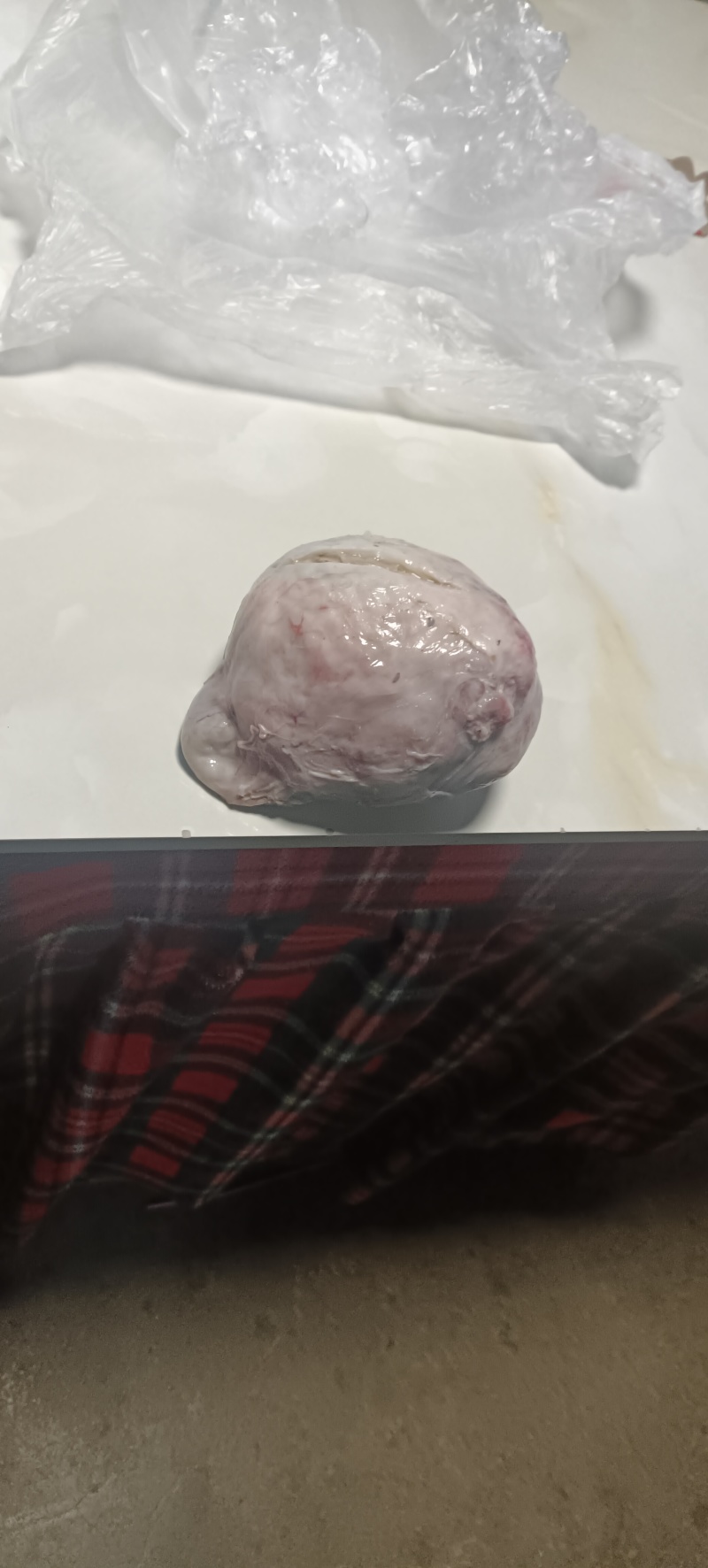 鹅宝