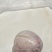 鹅宝