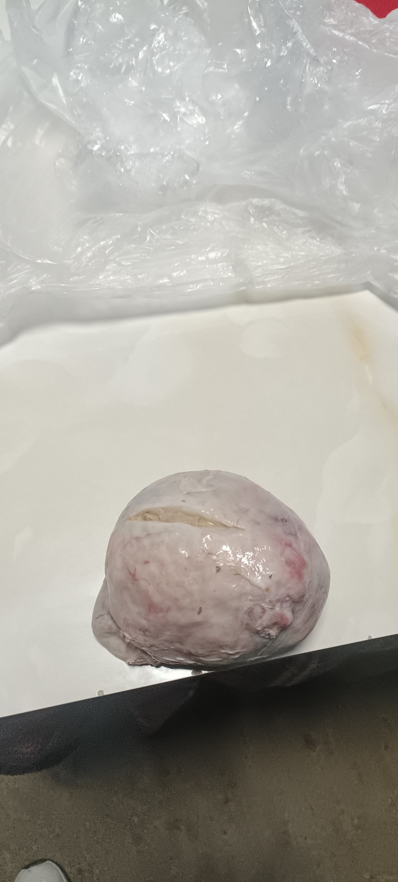 鹅宝