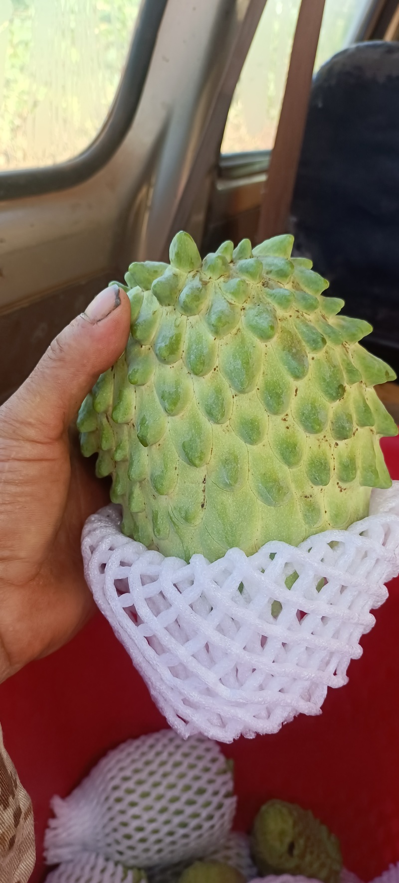 释迦果