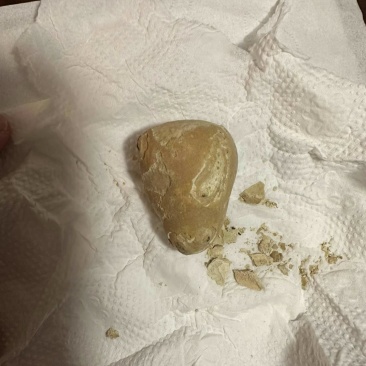 羊**