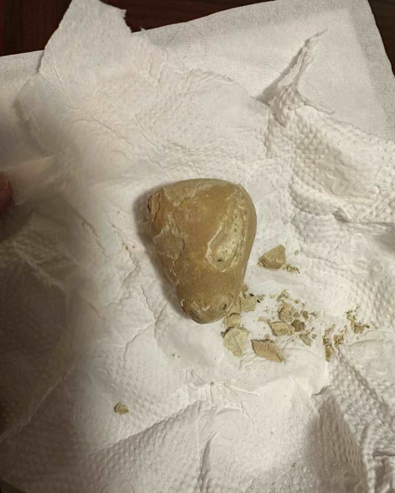 羊**