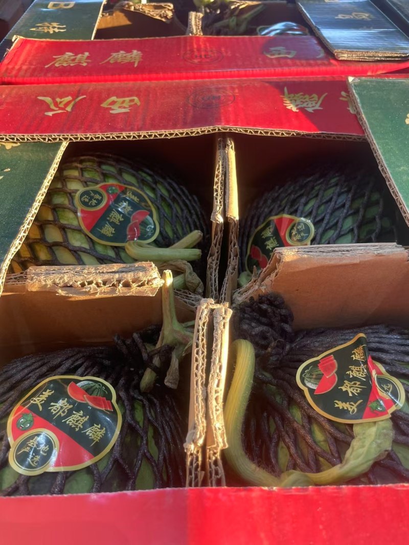 麒麟西瓜原产地发货
