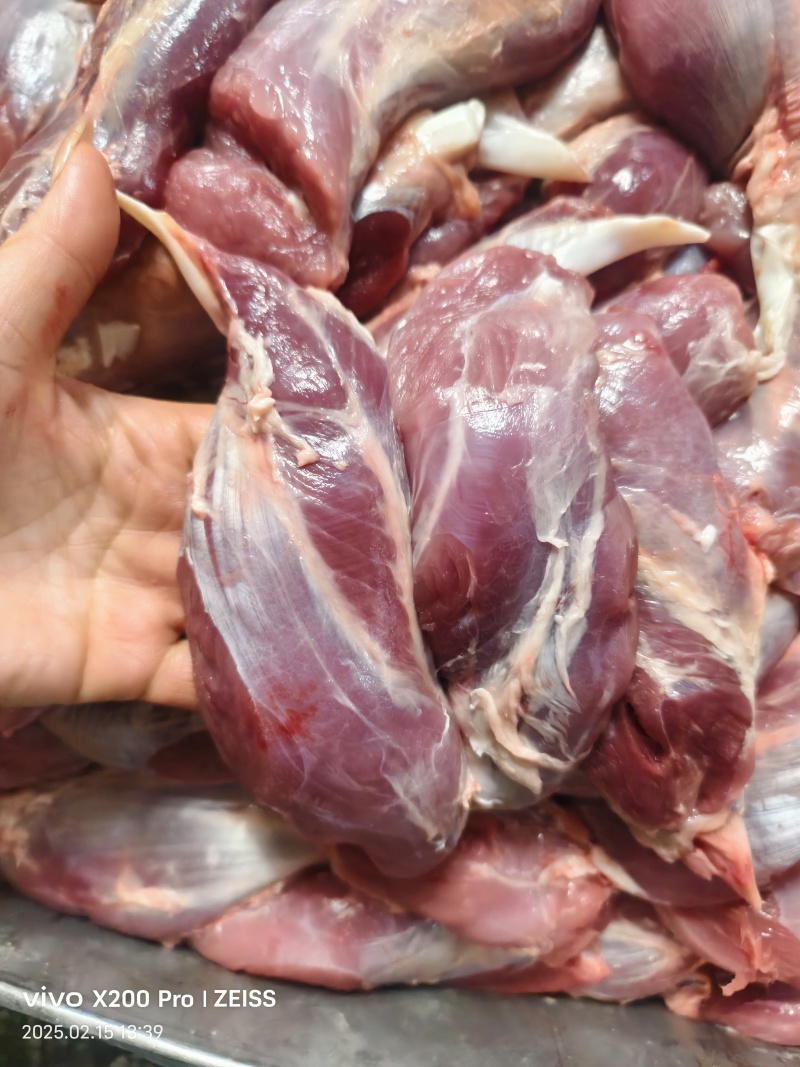 鼠腱.龟腱