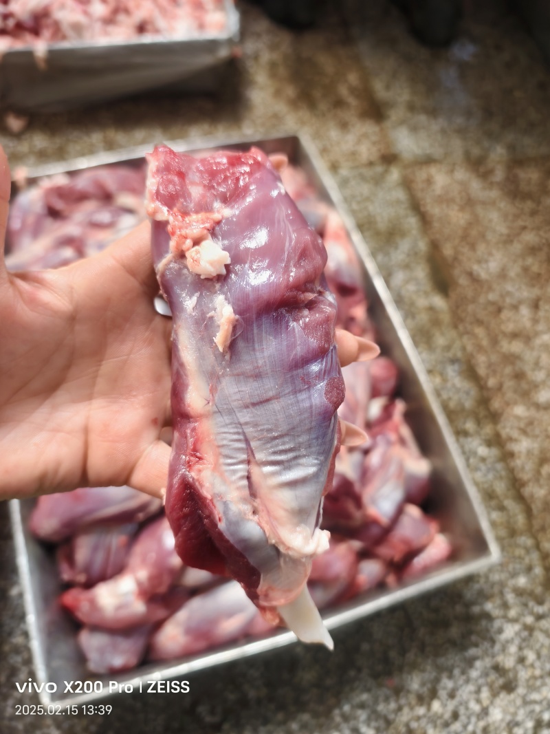 鼠腱.龟腱