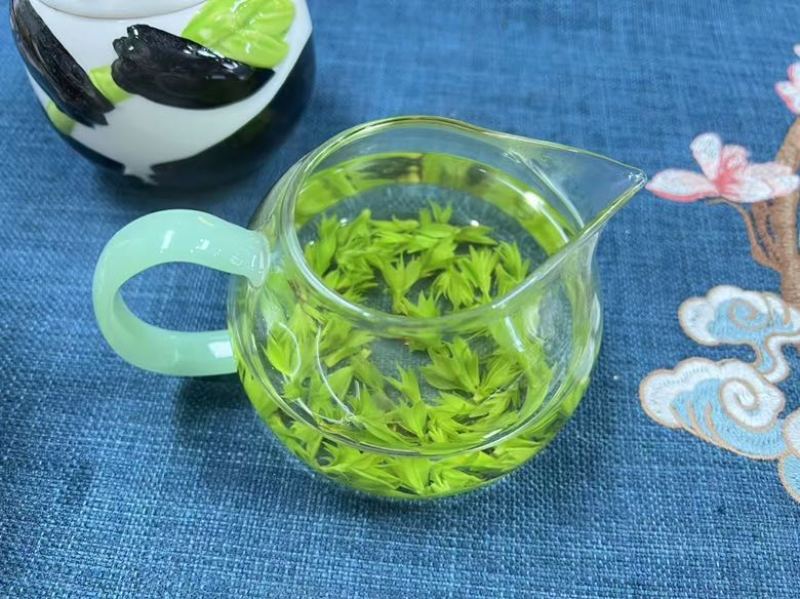 青山绿水小叶苦丁