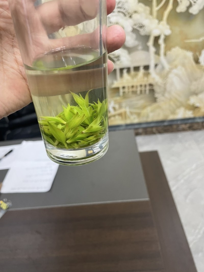 青山绿水小叶苦丁