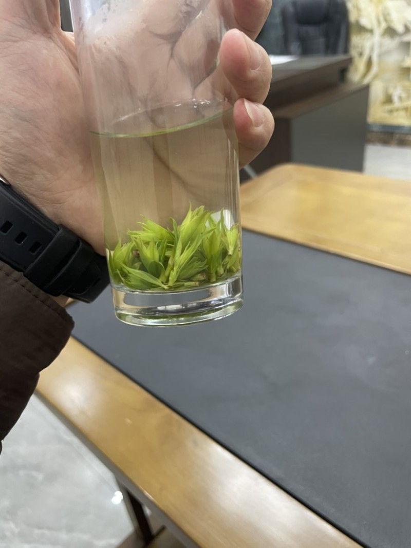 青山绿水小叶苦丁