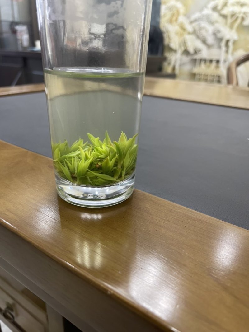 青山绿水小叶苦丁