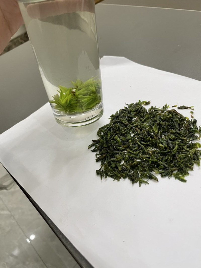 青山绿水小叶苦丁