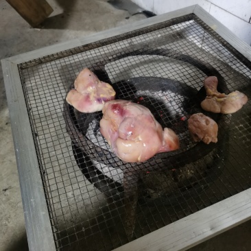 鸭宝