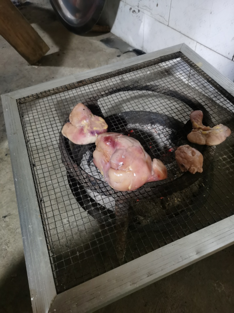 鸭宝