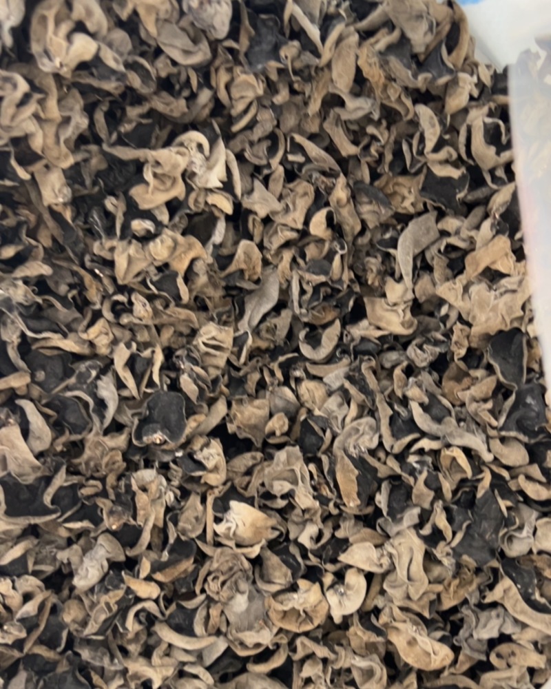 各种黑木耳有1.5.1.2