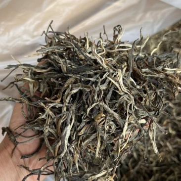 云南双江勐库台地散装茶