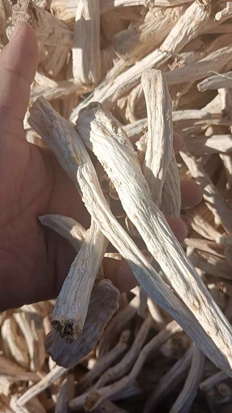 出售：去皮内蒙桔梗中条，够含量30吨
