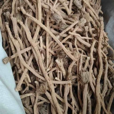 出售：防风各种规格