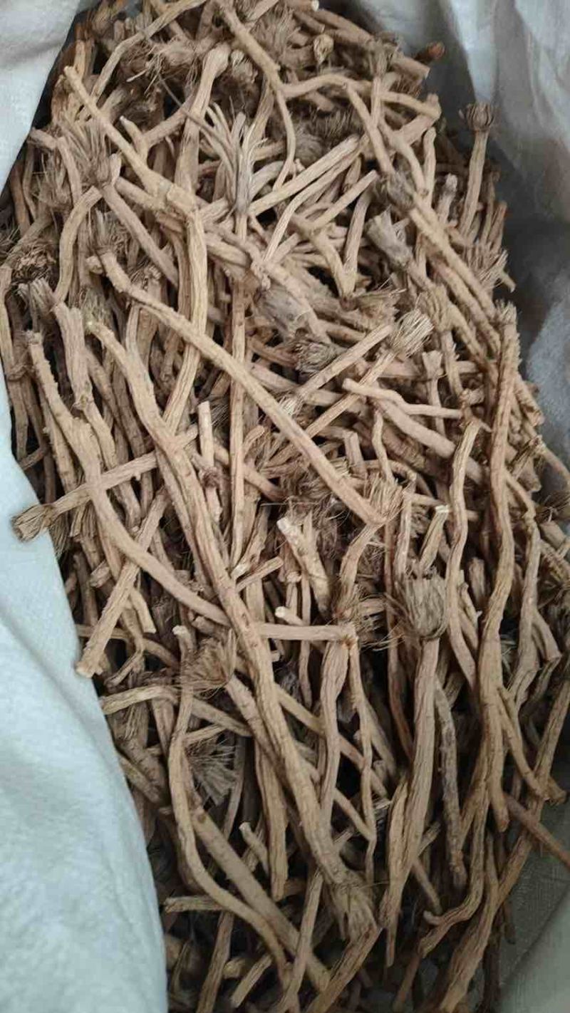 出售：防风各种规格