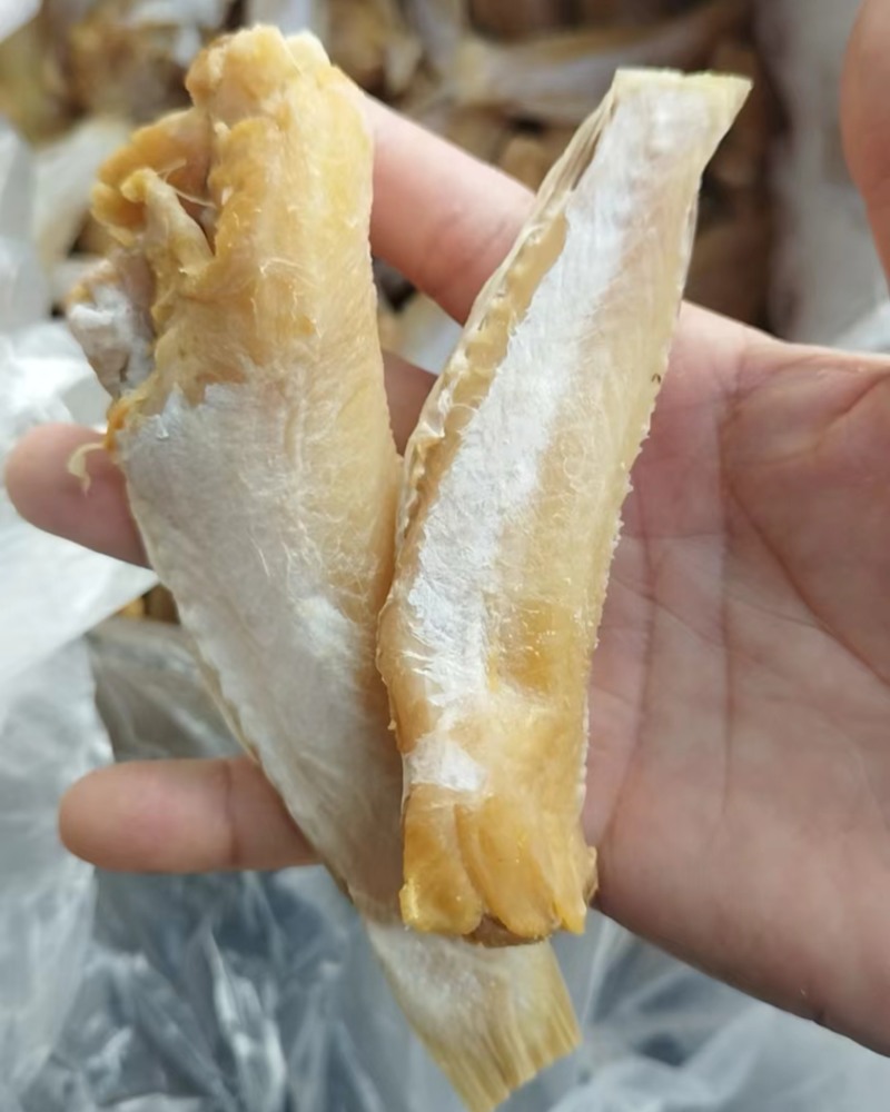 北海特产石斑鱼，适合摆地摊，跑江湖，展会
