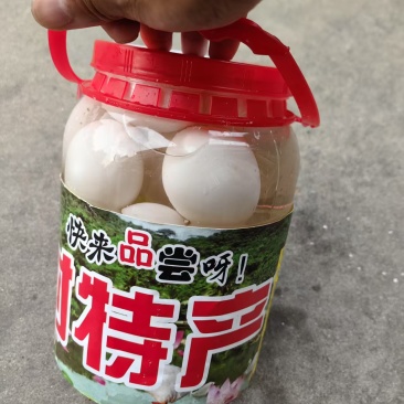 专注蛋品30年精品桶装蛋，网红桶装雁鹅蛋，厂家一手货源