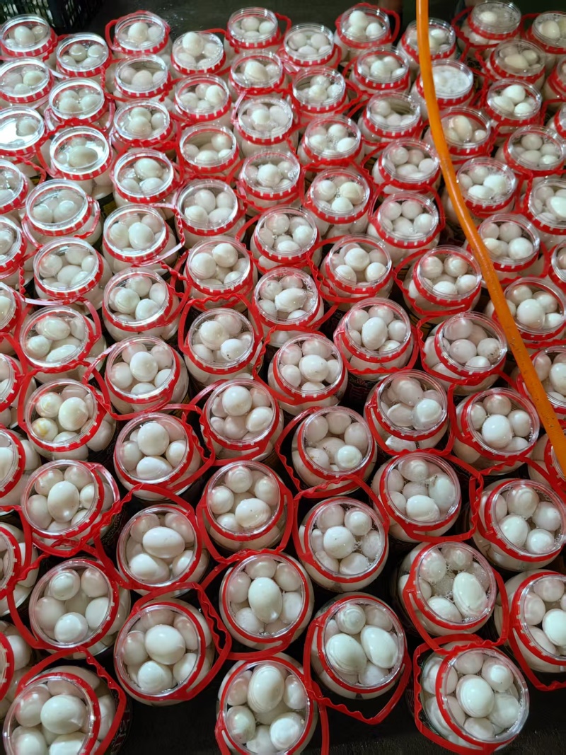 专注蛋品30年精品桶装蛋，网红桶装雁鹅蛋，厂家一手货源