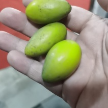 福建二号甜橄榄，原味橄榄。煲汤，泡酒。