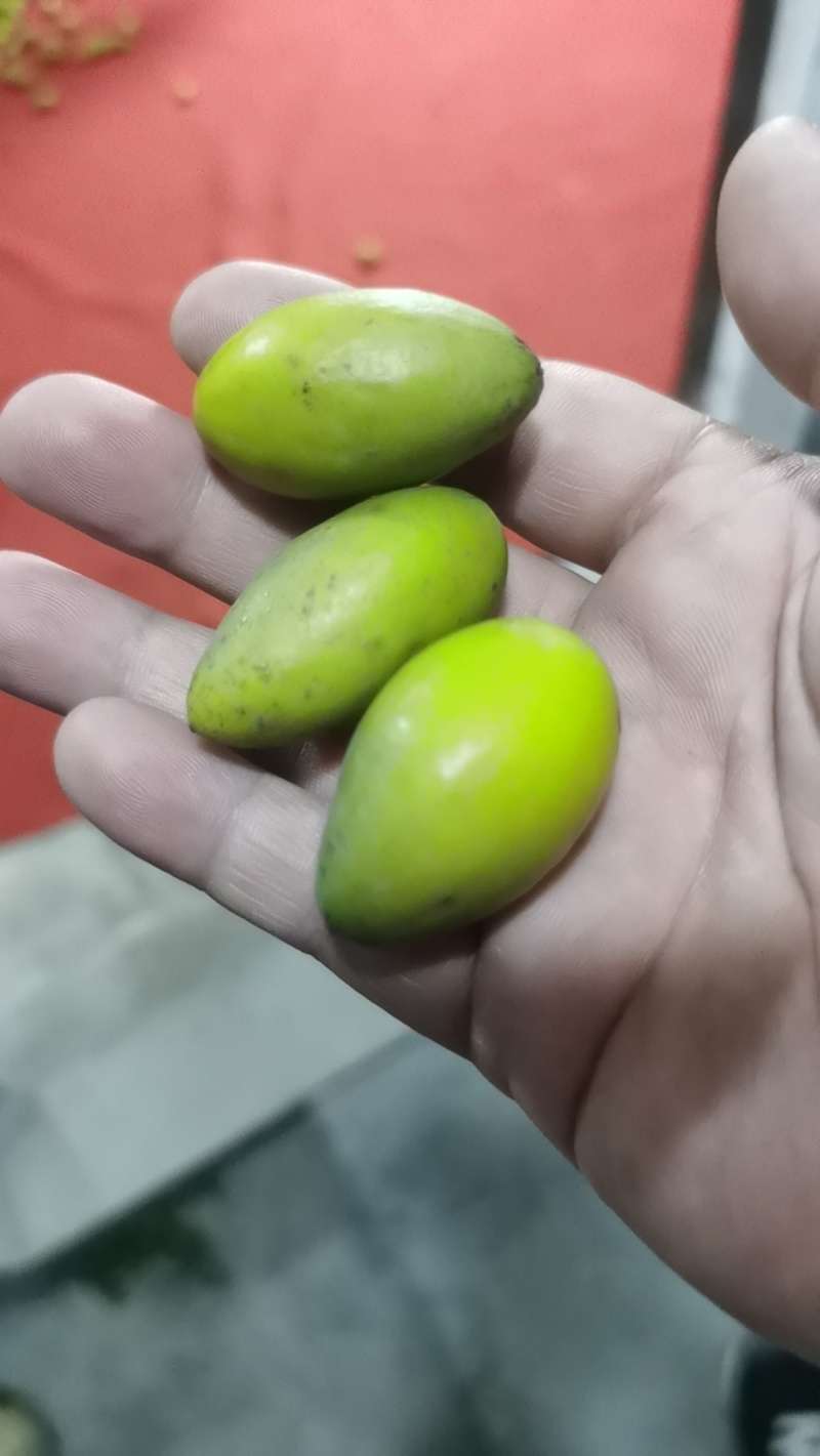 福建二号甜橄榄，原味橄榄。煲汤，泡酒。