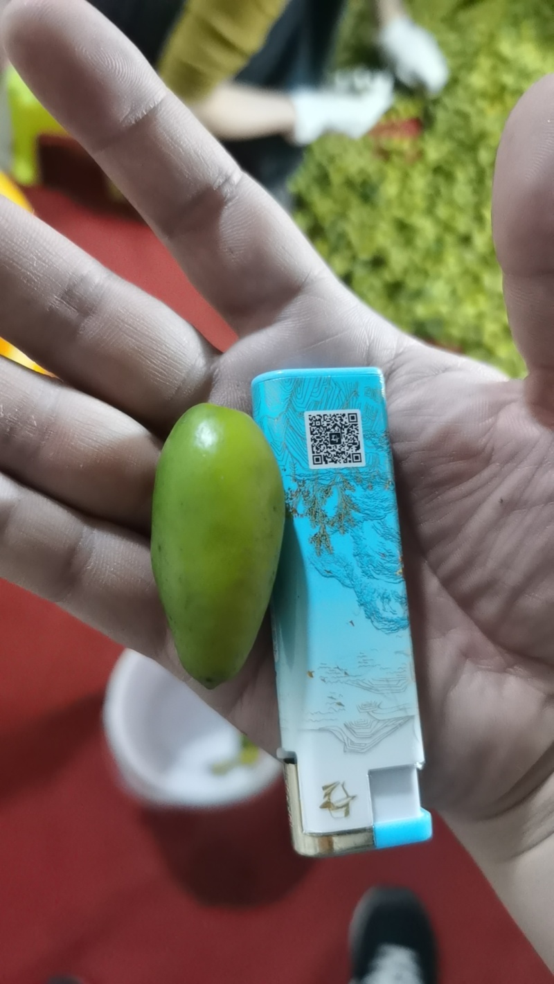福建二号甜橄榄，原味橄榄。煲汤，泡酒。