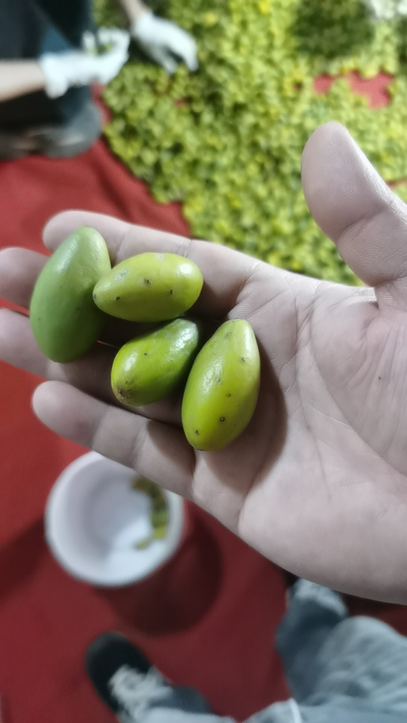 福建二号甜橄榄，原味橄榄。煲汤，泡酒。