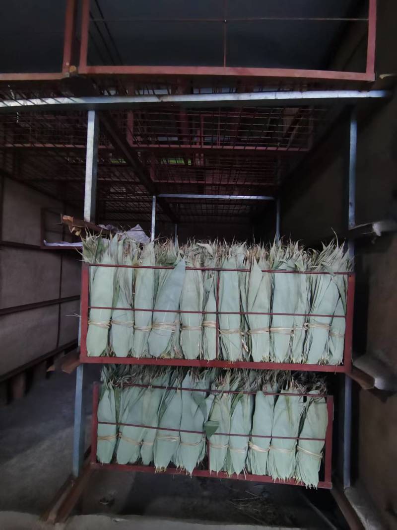 江西干粽子叶/野生干粽叶大号新叶/家用商用粽叶批发