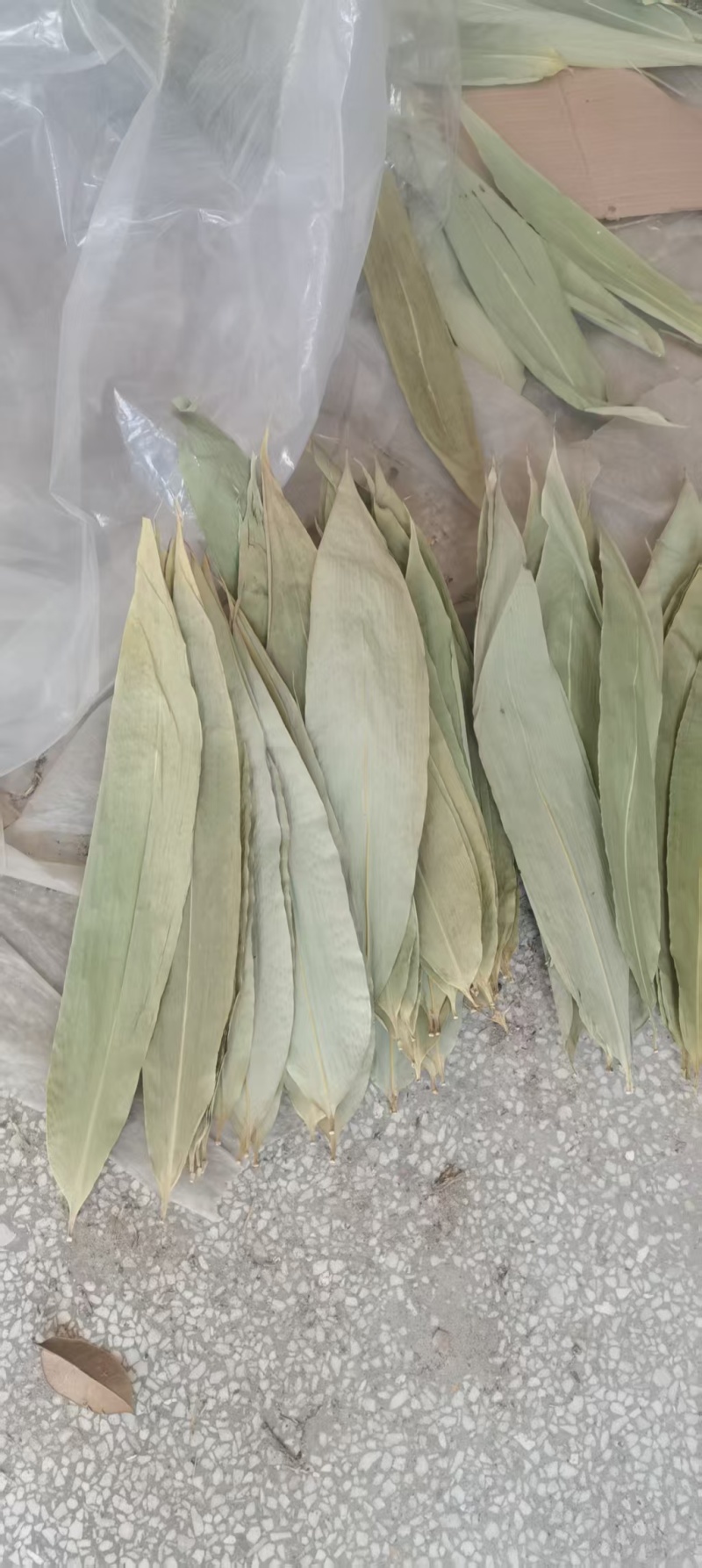 江西干粽子叶/野生干粽叶大号新叶/家用商用粽叶批发