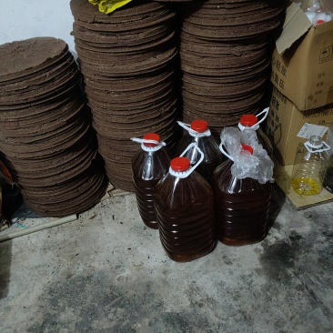 自己种植的油茶籽，经过低温压榨得出的优质茶油。
