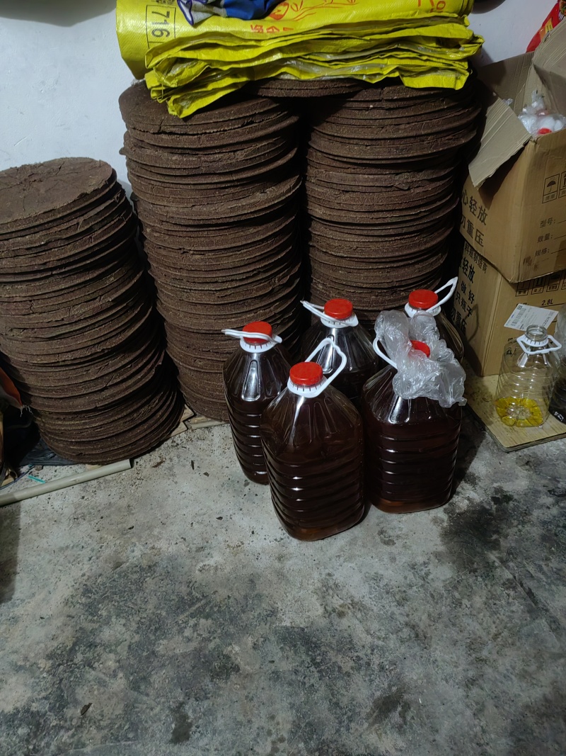 自己种植的油茶籽，经过低温压榨得出的优质茶油。